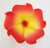 Bonitagirl 2 pcs. Hawaiian Plumeria Foam Flower Hair Clip -Code 05 Red Yellow-