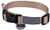Wouapy Basic Line Collar for Dog 25 mm Width Neck Size 44/65 cm Beige