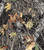 1 Yard of 60 Inch -1.5m- Wide 500 Denier Coated Cordura Nylon in Mossy Oak Break Up Camouflage