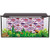ScottDecor Aquarium Wallpaper Background VioletCheckered Square Lines Multiple Sizes L30 X H12 Inch