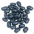 FOTS - Bulk Black Beans Dry -16 Pounds- USA Grown 100 percent Natural Triple Cleaned Frijoles Negros