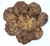Scotts Cakes Peanut Butter Brownie Chunk Cookies in a 1 Pound Plastic Deli Container