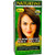 Naturtint - Permanent Hair Colorant - Light Chestnut Brown 5N 5.98 fl oz - Multi-Pack-