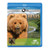 NATURE Bears of the Last Frontier -DVD PlusBlu-ray- DVD