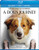 A Dogs Journey -Blu-ray-