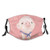 Cute Pink Pig Face Mask With Filter Pocket Washable Face Bandanas Balaclava Reusable Fabric Mask For Men Women