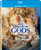 League of Gods -Blu-ray-