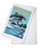 Marco Island Florida Dolphins Jumping -100 percent Cotton Kitchen Towel-