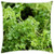 LESGAULEST Throw Pillow Cover -16x16 inch- - Parsley Plant Spice Herbs Vegetarian Green