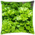 LESGAULEST Throw Pillow Cover -24x24 inch- - Parsley Herbs Plant Spice Cook Herb Green Food