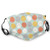 Comfortable Windproof mask?Abstract Circles With Angled Simple Stripes Geometric In Retro Tones Graphic?Printed Facial decorations for adult