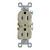 Legrand-Pass & Seymour 3232TRICC14 Tamper Proof Duplex Receptacle 15-Amp/125-volt, Ivory