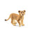 Schleich Lion Cub Toy Figurine
