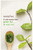 Innisfree MY Real Squeeze Mask Sheet x 10 sheets Packs -Green Tea-