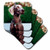 3dRose LLC Weimaraner Coaster, Soft, Set of 4