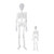 NUOBESTY 2Pcs Halloween Hanging Skeleton Decorations Glow in The Dark Skeleton Halloween Party Outdoor Yard Garden Hanging Ornaments Props
