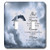 3dRose lsp_52227_2 The Serenity Prayer A Beautiful Dove One Of A Kind Graphic Will Inspire All Toggle Switch