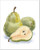 Watercolor Fresh Pears Paper Print Wall Art (10in. x 8in.)