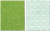 Sizzix Textured Impressions Embossing Folders 2PK - Evergreen  and  Snow Flowers Set by BasicGrey