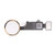 Home Button Main Key Flex Cable for iPhone 8 and 8 Plus Assembly with Rubber Ring Replacment Part (Gold)