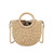 Rattan Handmade Straw Tote Handbag Beach Shoulder Bag Summer Beach Rattan Bag Straw Bag (White)