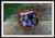 SAGITTARIUS Gemstone Kit 8 Zodiac Sagittarius Gemstones Set Healing Crystals Healing Zodiac Sagittarius Intention Lithiotherapy Sagittarius