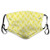 Activated Carbon Filter Windproof mask for Unisex Adult,Ethnic Fashion Pattern Design with Chevron Herringbone and Diagonal Short Lines,Printed Facial Decorations