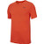 Nike Men's Dry Tee, Dri-FIT Solid Cotton Crew Shirt for Men, Team Orange/Black, L