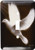 3dRose Lsp_6578_1 Fractalius Dove Black White Bird Art Single Toggle Switch