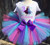 Anna And Elsa Personalized Birthday Outfit Tutu Set Standing Frozen 2