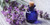 NIKA SEEDS - Herb English Lavender Medicinal - 150 Seeds