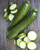 NIKA SEEDS - Vegetable Zucchini Green - 30 Seeds