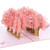 Cherry Blossom Pop Up Card Romantic Pop Up Greeting Card 3D Mother's Day Greeting Card, Valentine's Day Pop Up Card, 3D Birthday Card, Wedding Anniversary Present for Mother, Wife, Lover