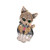 SaiDian 2 Pcs Cute Crystal Cat Brooch Pins 3D Cat Pet Crystal Enamel Pin Lapel Collar Pin for Women Gift