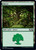 Magic: The Gathering - Forest (277) - Core Set 2020