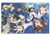 Animewild Strike Witches Group Pocket File Folder