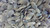 Organic Raw Pumpkin Seeds