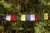 Zambala Tibetan Prayer Flags From Nepal Set of 10 Flags
