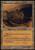 Magic The Gathering - Petrified Field - Odyssey