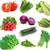 4700Plus Premium Vegetable Seeds 10 Deluxe Variety Premium Vegetable Garden 100 percent Non-GMO Heirloom