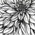 Posterazzi Collection Dahlia Flower Outline Style Poster Print by Atelier B Art Studio (12 x 12)