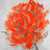 Abstract Rose Poster Print by Atelier B Art Studio (12 x 12)