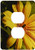 3dRose lsp_7816_6 Bee Flower 2 Plug Outlet Cover Multicolored