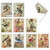 10 Postcard-Style Note Cards with Envelopes 4 x 5.12 inch, Assorted 'Royal Birds' Blank Greeting Cards, All-Occasion Stationery Set for Weddings, Birthdays, Thank Yous - NobleWorks M2343OCB 10 Postcard-Style Note Cards with Envelopes 4 x 5.12 inch, Assorted 'Royal Birds' Blank Greeting Cards, All-Occasion Stationery Set for Weddings, Birthdays, Thank Yous - NobleWorks M2343OCB