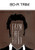 From the Head -Blu-ray-