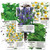 Seed Needs Medicinal Herb Seed Collection (5 Individual Packets) Fresh, Non-GMO, Untreated