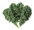 Burpee Prizm Hybrid Kale Seeds 50 seeds