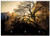 Triple Blank Wall Plate Cover - Beautiful Cold Dead Tree Glow Light Sunset Tree