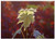 Triple Blank Wall Plate Cover - Leaf Pink Red Clone Bokeh Blur Nature Rosa Glow