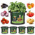 T4U Fabric Plant Grow Bags with Handles 3 Gallon Pack of 5, Heavy Duty Nonwoven Smart Garden Pot Thickened Aeration Nursery Container Black for Outdoor Potato, Tomato, Chili, Carrot and Vegetables